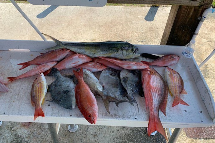 Bottom fishing. Snappers, mahi, triggers 2