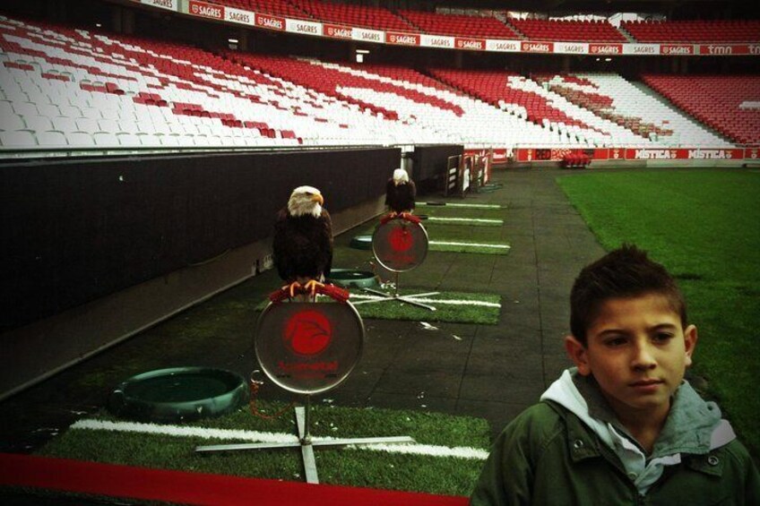 Private Tour: Lisbon Football Experience - Stadium and Museum Tour