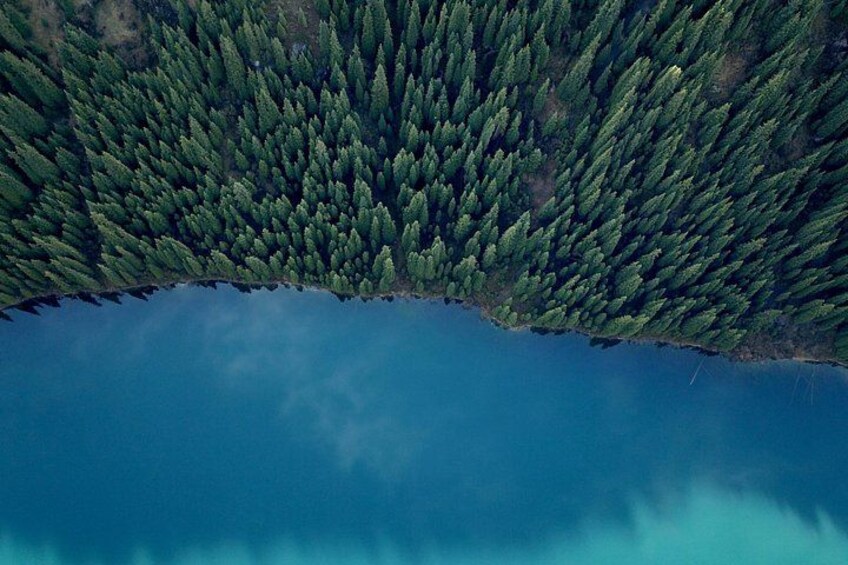 A lake surrounded by dense forest. 3