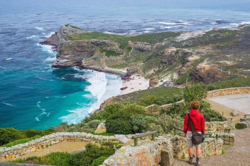 Half Day Boulders Penguins and Cape Point Small Group Tour 2