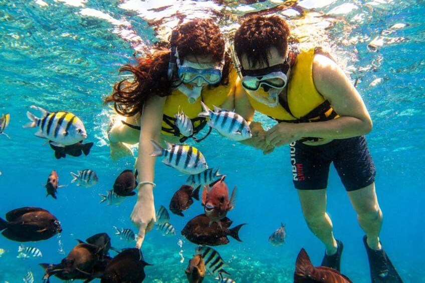Snorkeling Tour at Blue Lagoon with Private Hotel Transfer 1