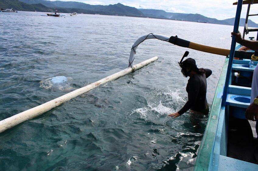 Snorkeling point 4