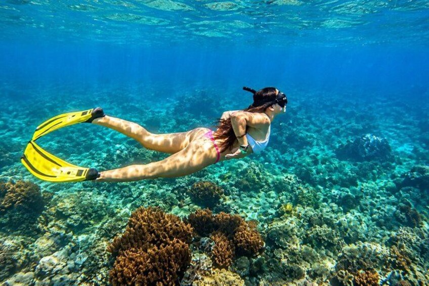 Snorkeling Tour at Blue Lagoon with Private Hotel Transfer 5