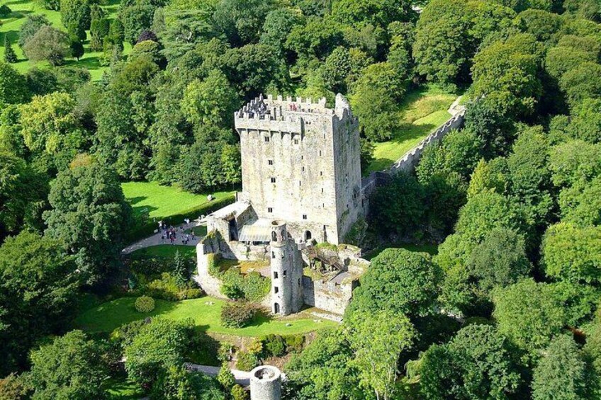 BLARNEY 5