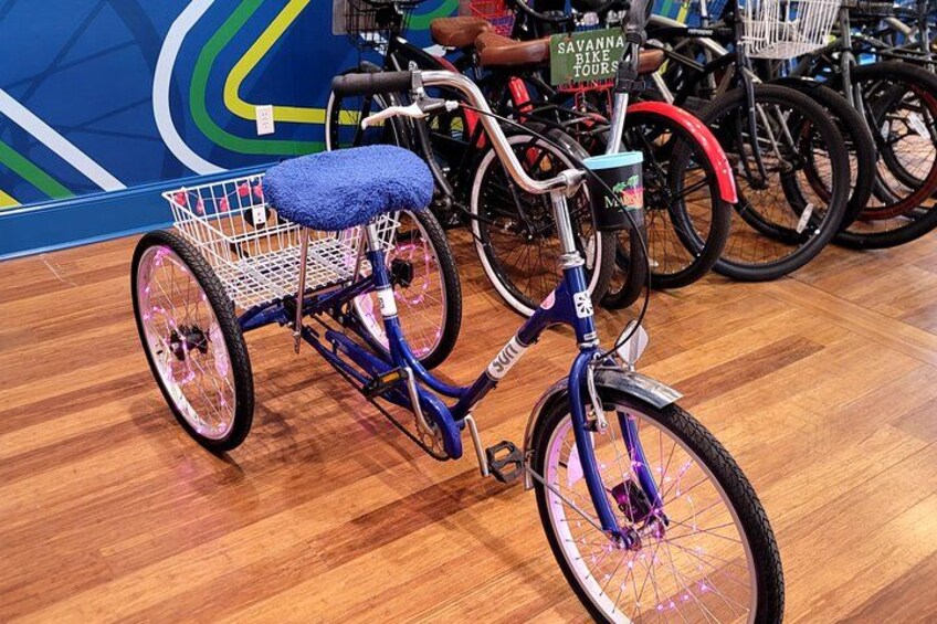 Can't ride a bike? No issue at all! We have adult tricycles! 5
