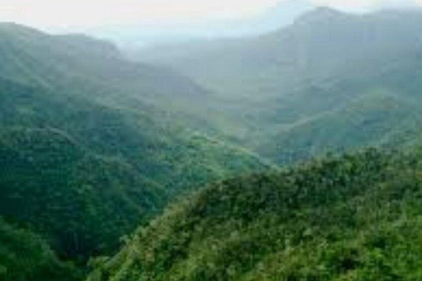 South Tour Full Day - Trou aux Cerf, Alexandra Falls, Black River Gorges etc.. 4