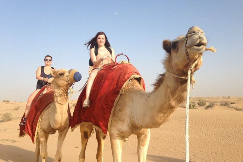 Dos camellos con jinetes en un paisaje desértico. 3