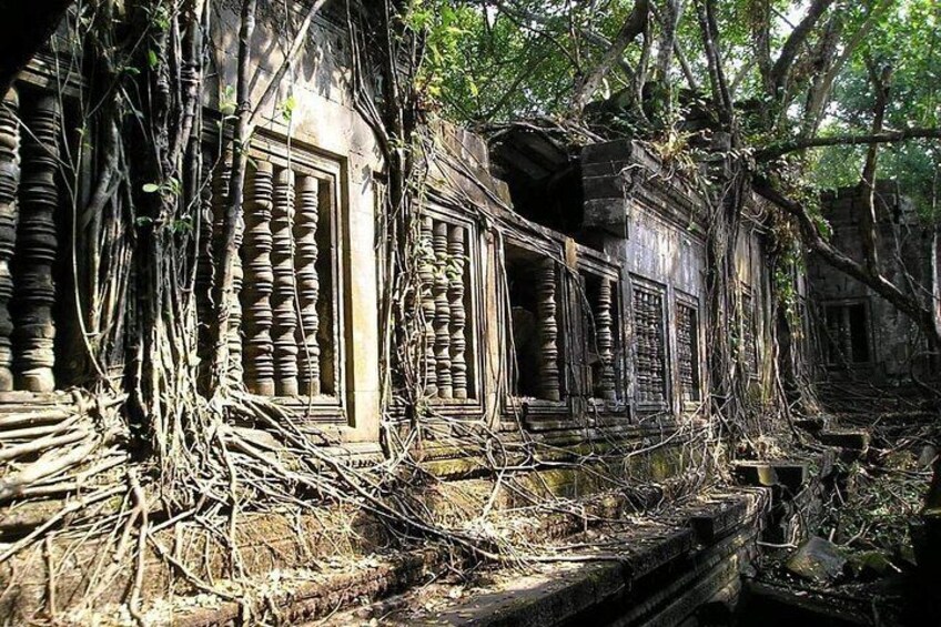 An ancient temple with intricate carvings, overgrown with vines and surrounded by dense forest. 4