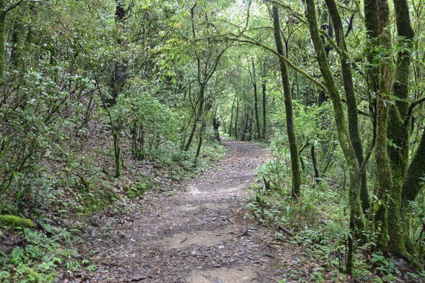 Hiking Trail