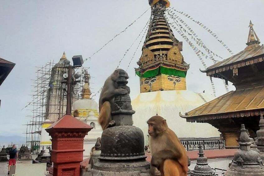 A large white stupa with a green and gold spire, surrounded by traditional architecture and a monkey statue. 5