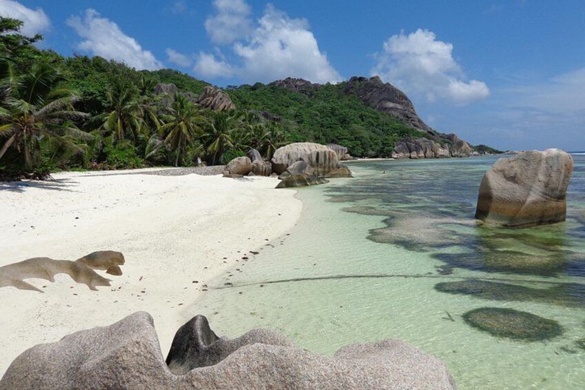 A beach with white sand, clear turquoise water, large rocks, and palm trees. 4