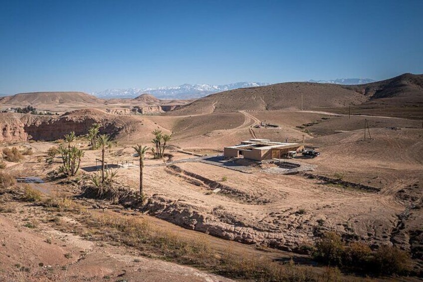 A desert landscape with a small building, palm trees, and distant mountains. 5