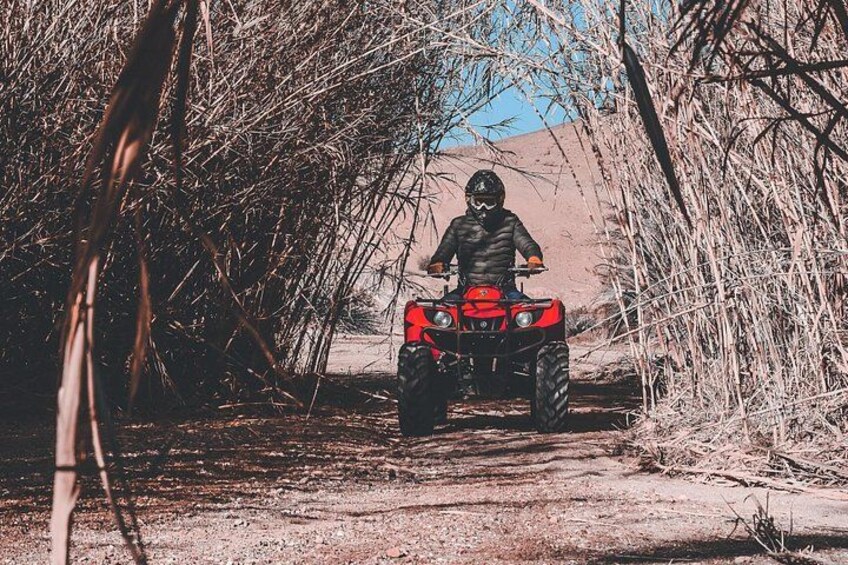 Une personne conduit un quad rouge à travers une zone boisée et aride, où la végétation est clairsemée et le ciel est dégagé. 2