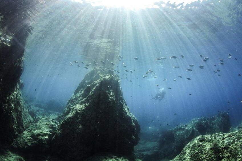 Boat Trip in Crete with Guided Snorkeling and Free Pick up! 2