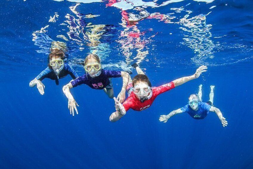 Boat Trip in Crete with Guided Snorkeling and Free Pick up! 5