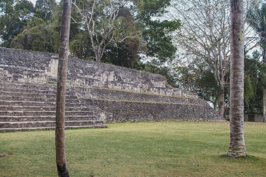 A stone staircase leading up to a temple, surrounded by trees. 5