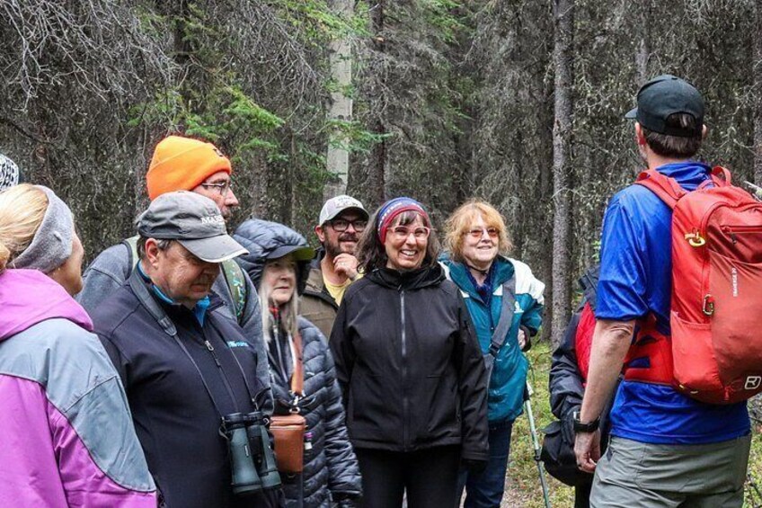 Denali Nature Hike 3