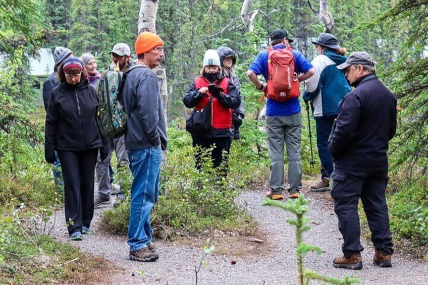 Denali Nature Hike 2