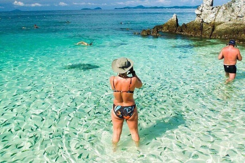 Khai Island Half Day Tour in 3 Islands (Khai Nai,Khai Nok,Khai Nui) from Phuket 5