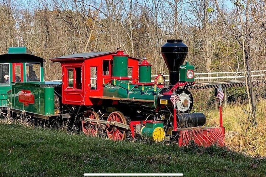 Une locomotive à vapeur d’époque, avec un wagon de queue rouge et vert, est garée sur une pelouse, avec des arbres en arrière-plan. 3
