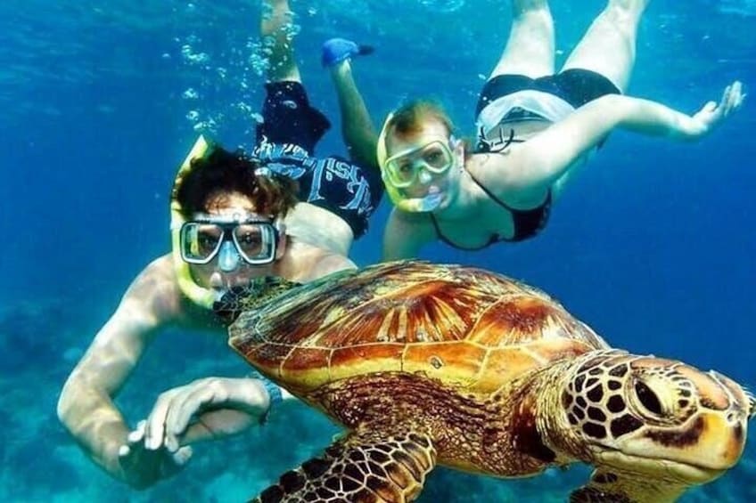 Guided Coral Reef Snorkeling Tour 5