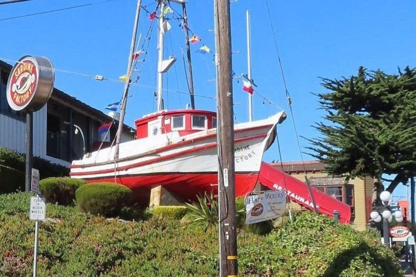 Sardine Factory 3