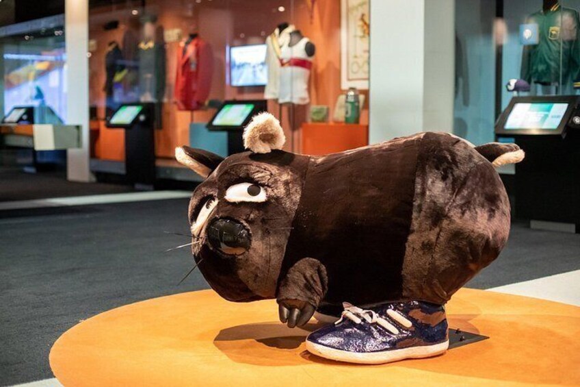 Fatso the wombat 5