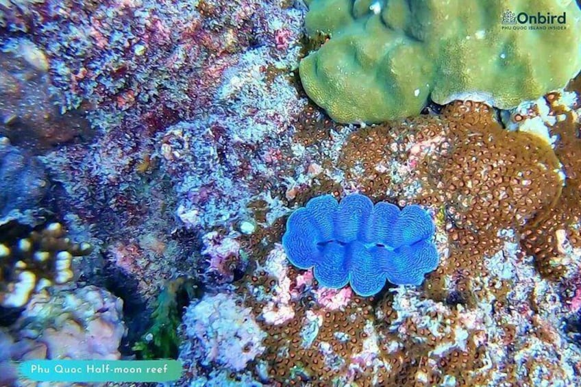 Phu Quoc Small-Group Snorkeling Tour by speedboat 1