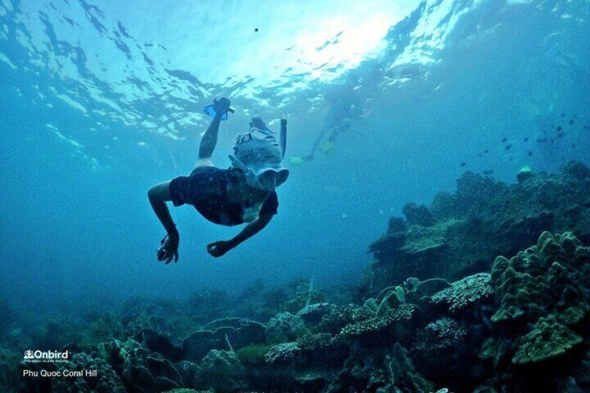 A diver underwater at Phu Quoc Coral Hill. 1