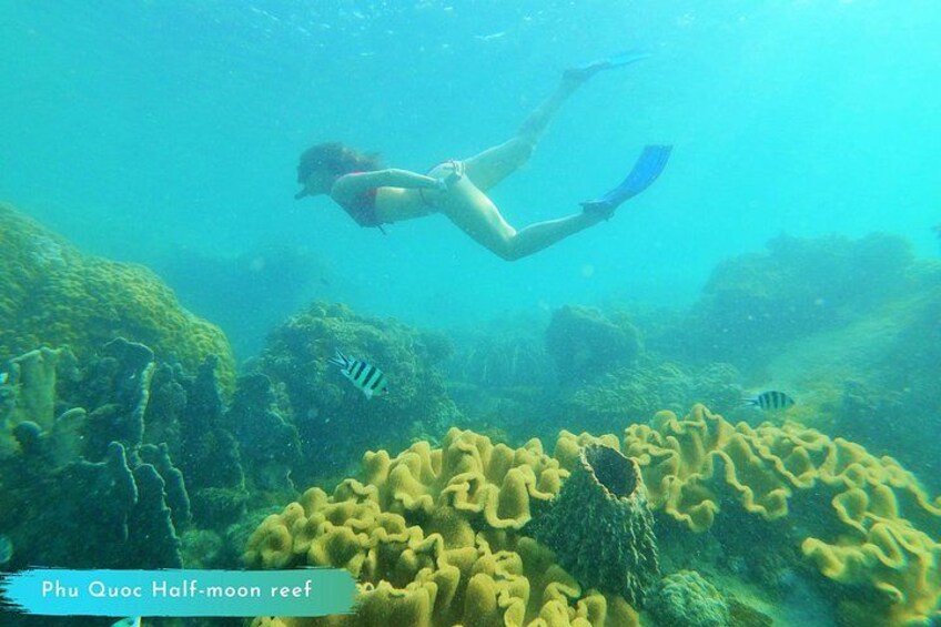 Phu Quoc Small-Group Snorkeling Tour by speedboat 5