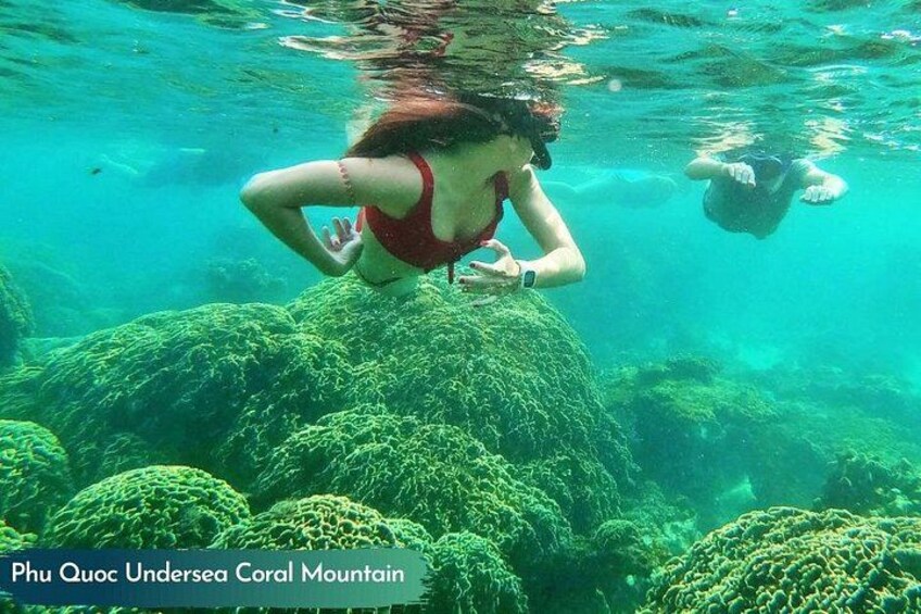 Phu Quoc Small-Group Snorkeling Tour by speedboat to explore Coral Mountain 2