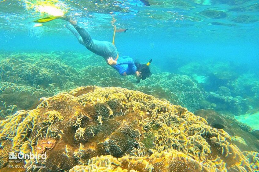 Our guest discovering Phu Quoc Coral Mountain 3
