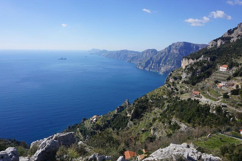 Viewpoint 3