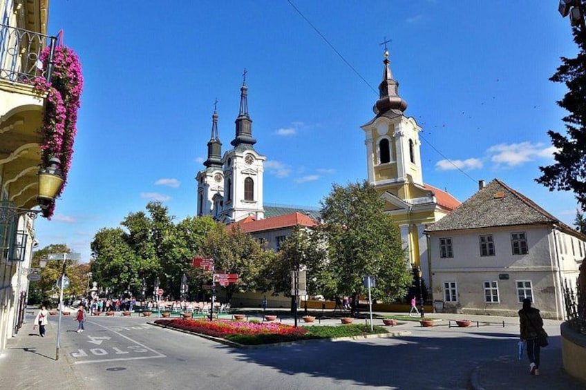 Eine Straße mit einer Kirche, Blumenbeeten und Gebäuden. 5