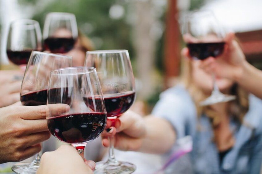 People toasting with wine glasses. 4