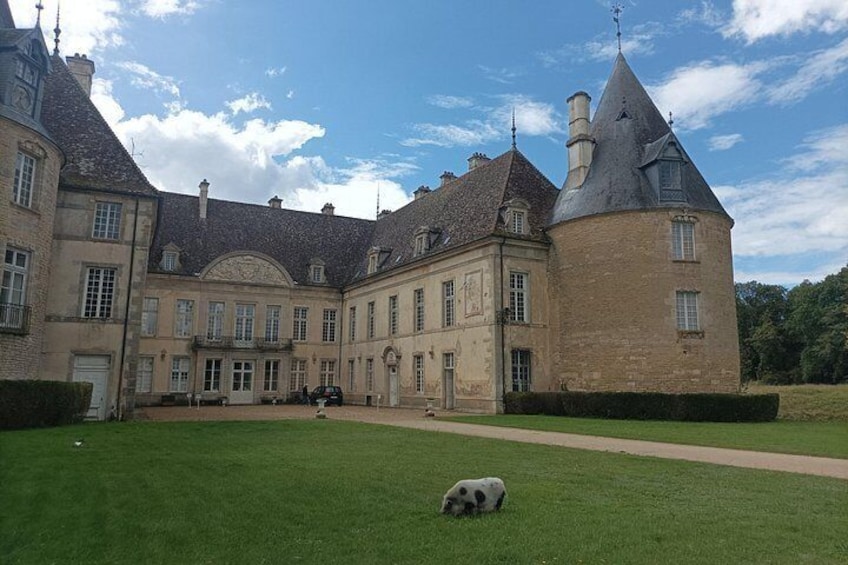 Private tour in Burgundy with your professional guide! 4