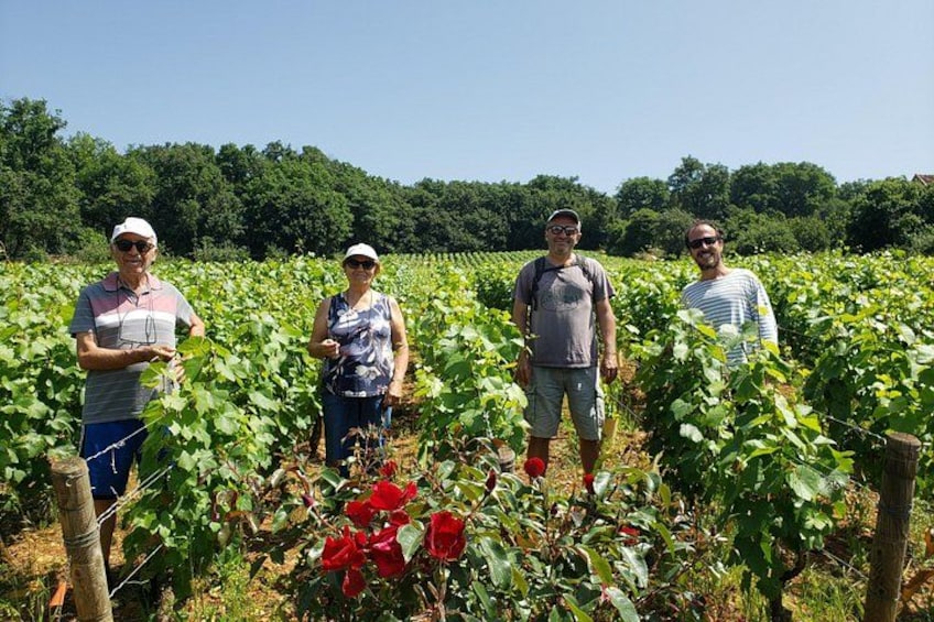 Four people standing in a vineyard with rows of grapevines and red roses in the foreground. 1