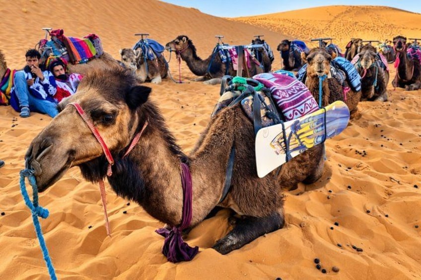 Marrakech to Merzouga: 3-Day Desert Tour & Camel Trek 3