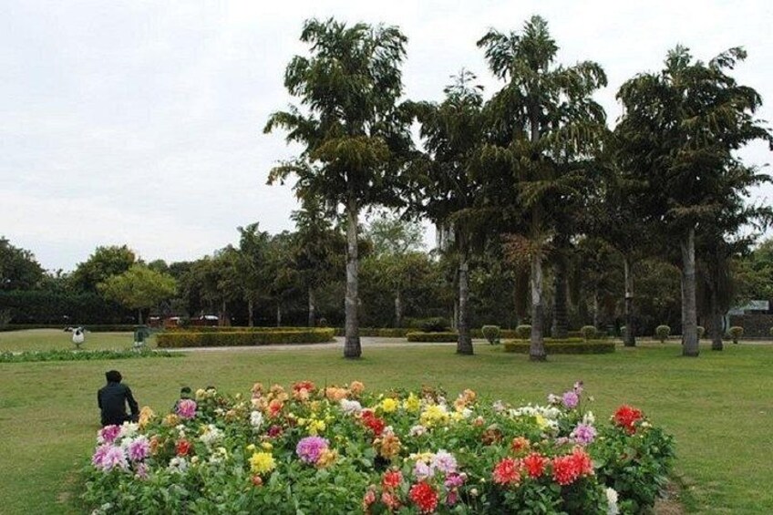 Un parque con un jardín de flores, palmeras y una persona caminando. 5