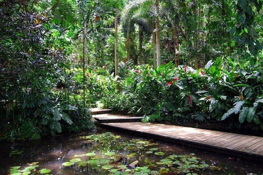 Garden of the Sleeping Giant 3