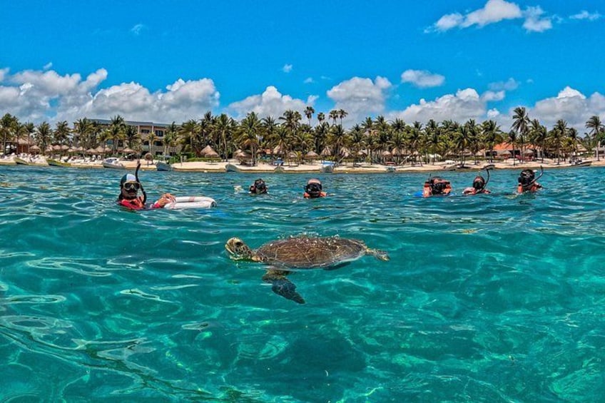 A clear blue sea with snorkelers and a sea turtle. 3
