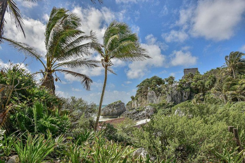 Tulum Ruins, Turtles in Akumal and Cenote tour 5