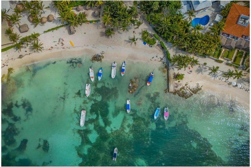 Tulum Ruins, Turtles in Akumal and Cenote tour 1