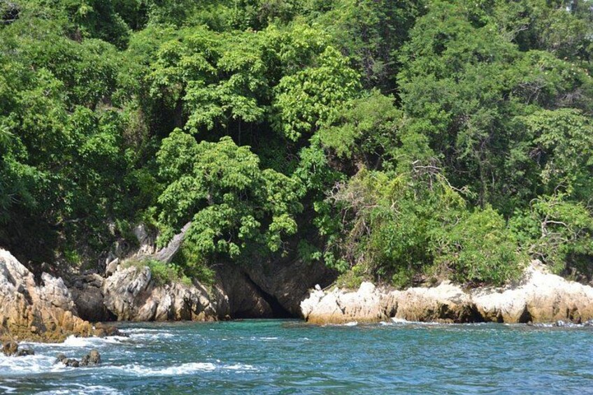 A coastal landscape with rocky cliffs, dense green foliage, and clear blue water. 5