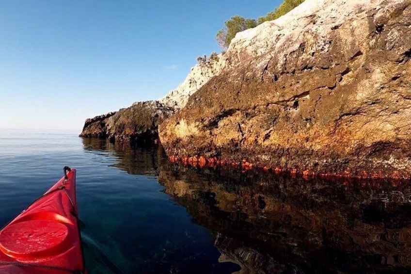 2 Hours Kayak Tour in Cerro Gordo Natural Park, La Herradura 3