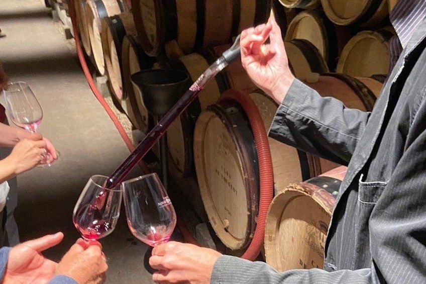 Full-Day Burgundy Wine & Gastonomy: Tastings & Gourmet Lunch 2