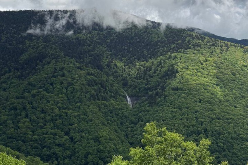 Ein üppig bewaldeter Berg mit einem Wasserfall. 3