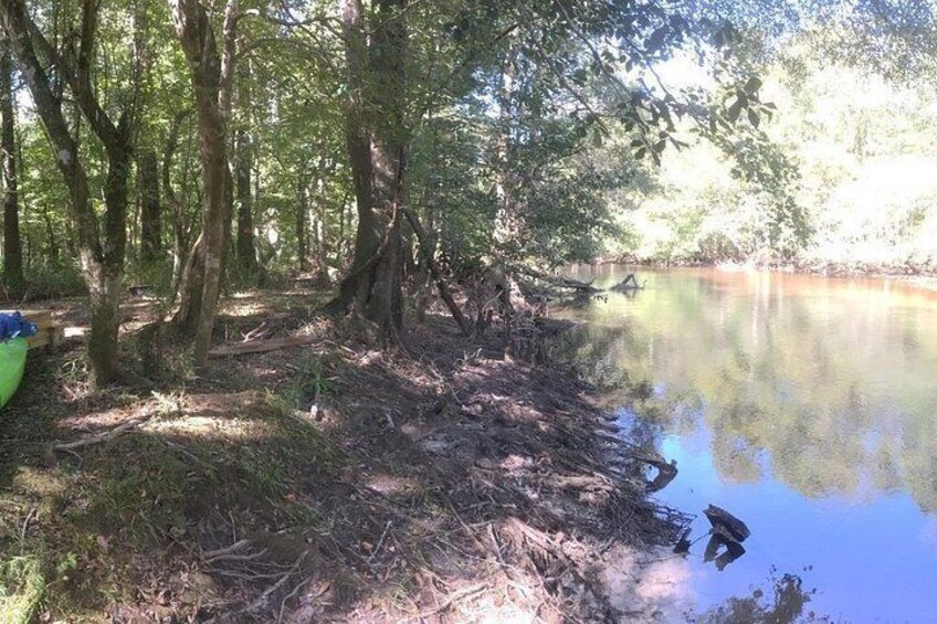 The platform campsite is set on Lynches Scenic River. It's on the SC Revolutionary Rivers National Recreation Trail. 5