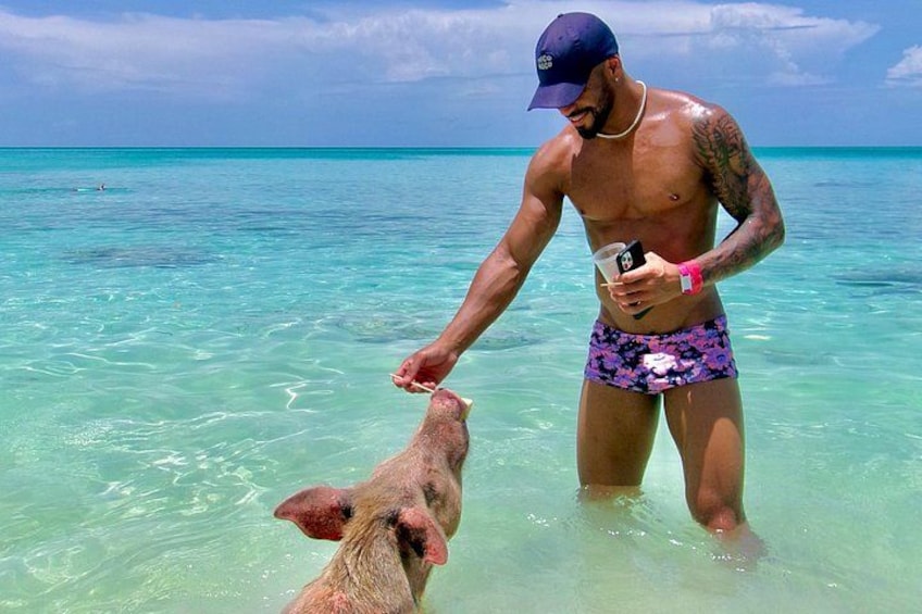 Nassau Swimming Pigs and Private Beach Club Escape 2