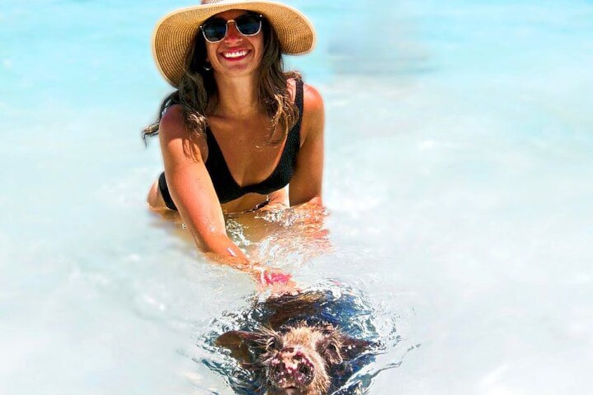 Nassau Swimming Pigs and Private Beach Club Escape 2